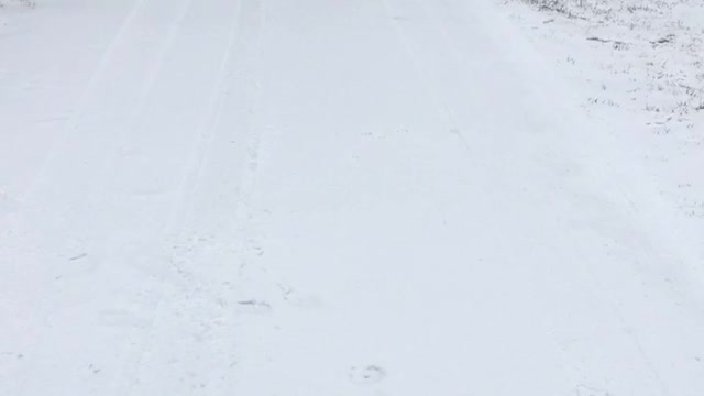 Winter day memory's with ruger
