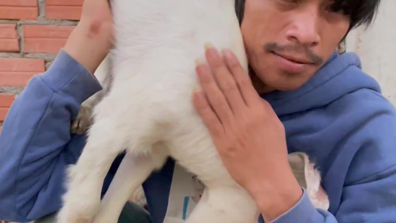 so beautiful goat, and lovely owner2