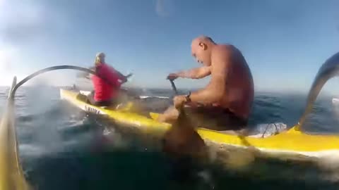 Training for outrigger race OC1, OC2, & Surfski