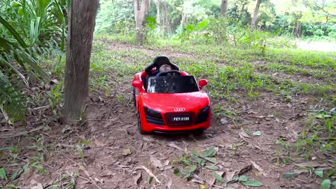 Animal Monkey Funny and Cute Baby Bunny Rabbit Videos in the Hole