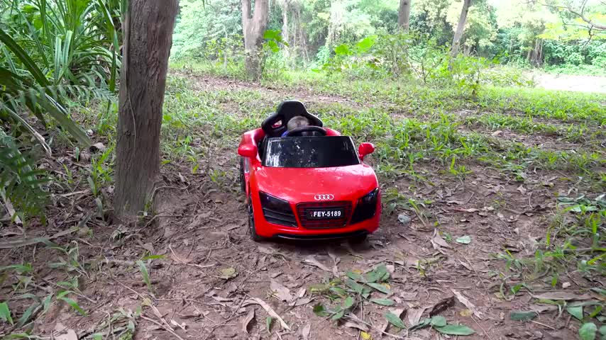 Animal Monkey Funny and Cute Baby Bunny Rabbit Videos in the Hole