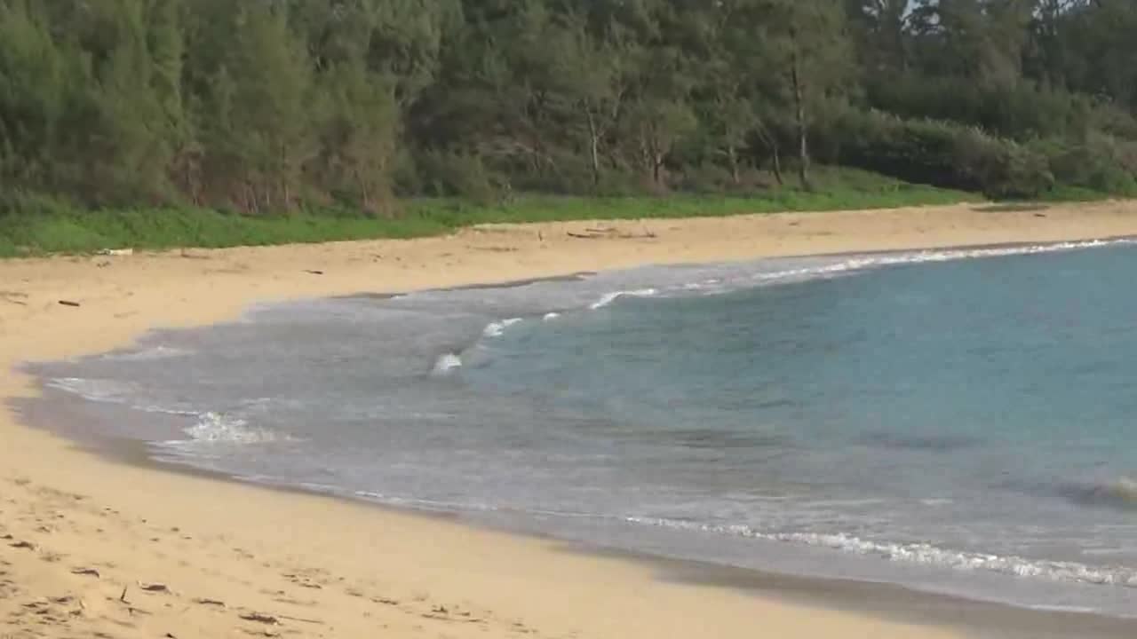 La'ie, HI — Hukilau Beach Park