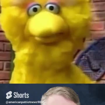 Why does Donald Trump call Nikki Haley bird brain?