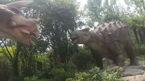 Are these two dinosaurs going to fight?