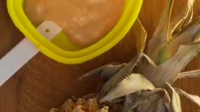 Cat making pineapple juice and with pineapple on his head.