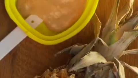 Cat making pineapple juice and with pineapple on his head.