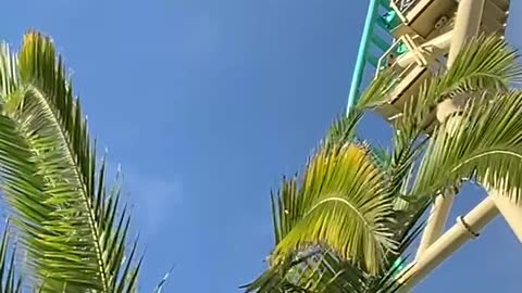 Thrill of a coaster ride