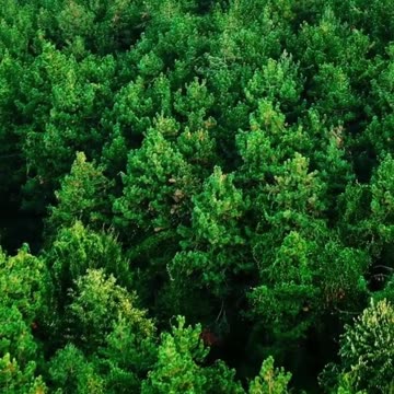 Loving-Kindness Meditation for Global Healing and Unity 🌎 #meditation #globalhealing #shorts