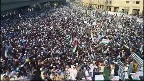 Pakistani stands with Palestine