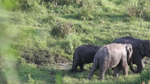 Thunpatrana Sanctuary