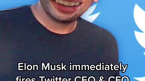 Elon immediately went on a firing rampage after finally completing his purchase of Twitter