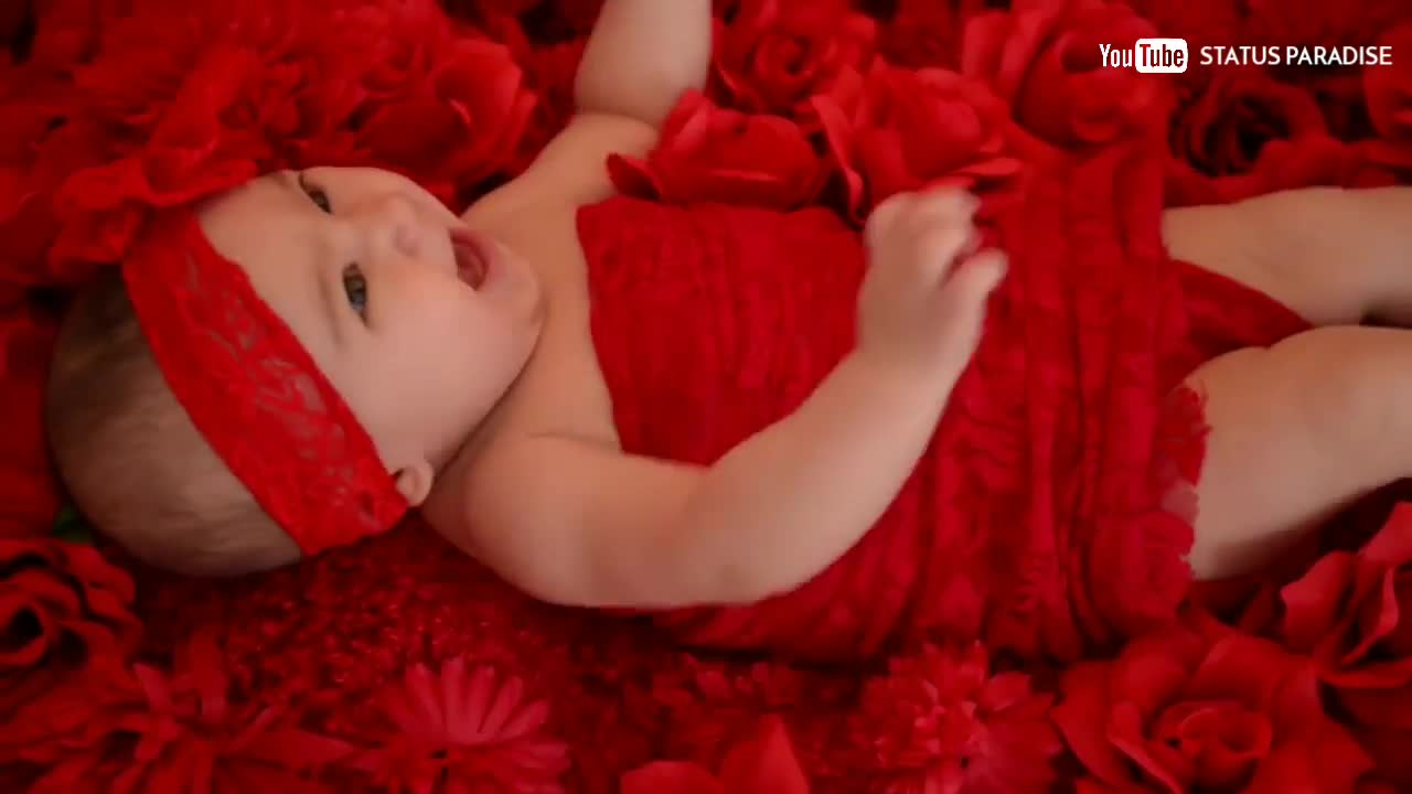 Cute Baby Video PhotoShot Status Paradise