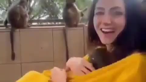 Cute and adorable animal behavior makes anyone happy to see it