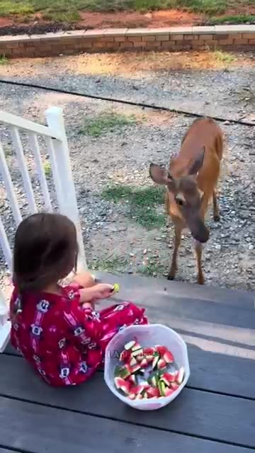 Man rescue poor deer