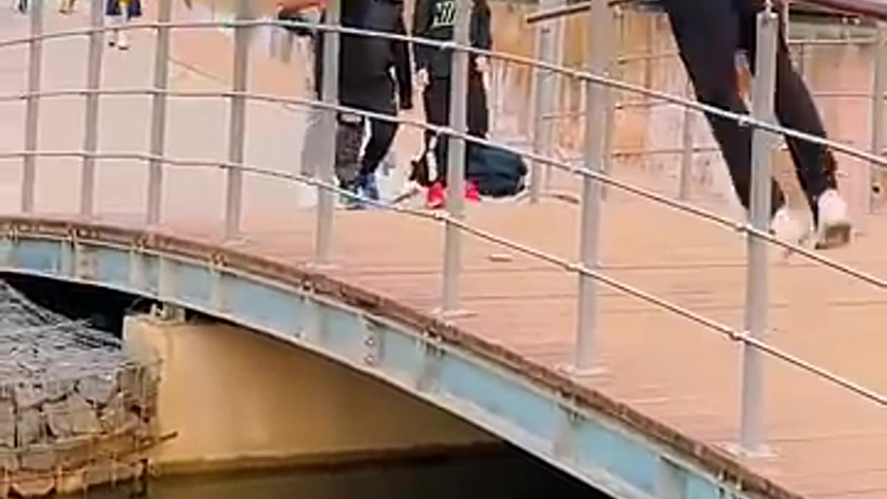 Funny Videos