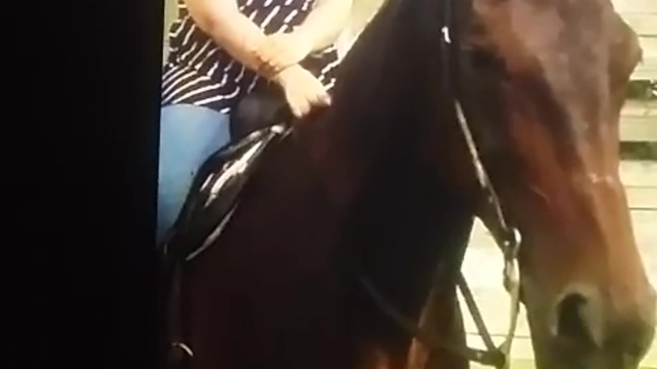 A girl riding on a beautiful horse looking so nice