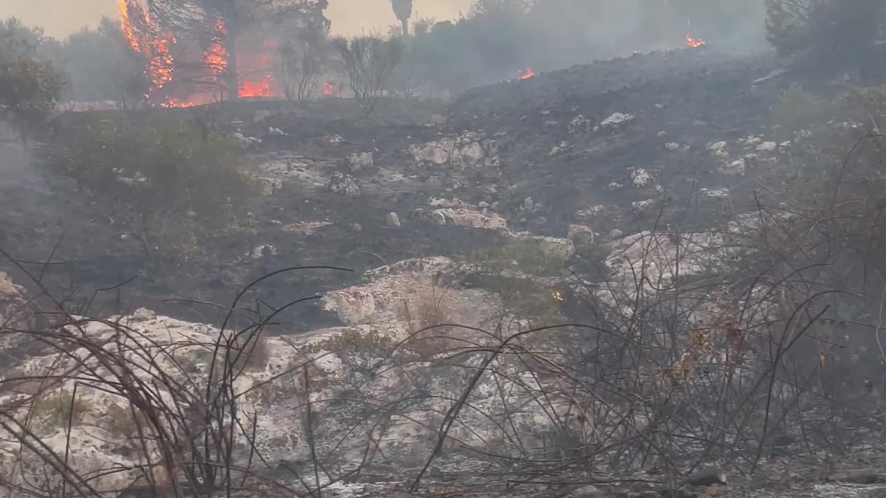 Wildfires in Sicily