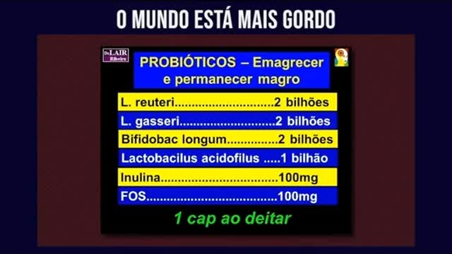 Probioticos para Emagrecer