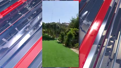 Mammoth Nation Weekly Update - August 15th