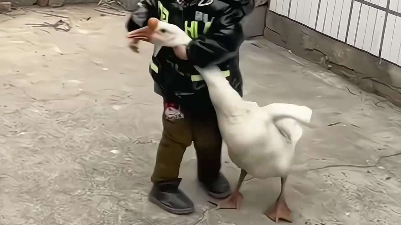 Funny videos/funny😀😂