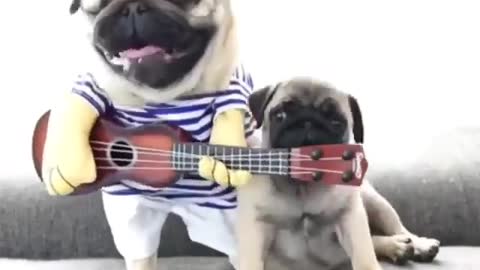 Leadies and gentlemen , Enjoy Your Show 💗✉✉💗✉✉💗 💗✉✉💗✉✉✉ 💗💗💗💗✉✉💗 💗✉✉💗✉✉💗 💗✉✉💗✉✉💗