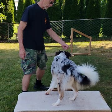 Platform Balance Beam Hurdle ruff cut podcast 3