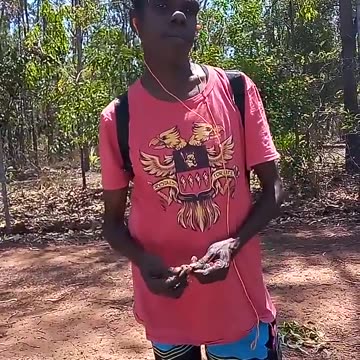 הממשלה האוסטרלית שילמה לאבורגנים הזרים 500 דולר כדי שיתחסנו