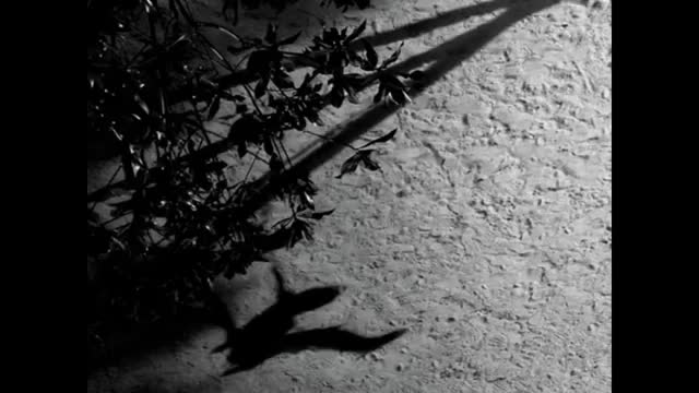 Max Richter - On the Nature of Daylight