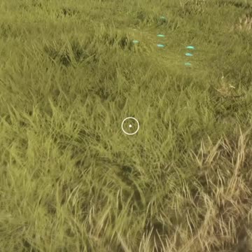 The Body of the Hottie!