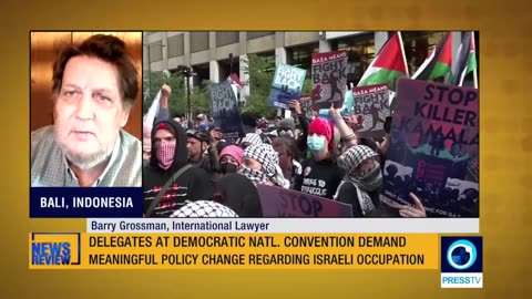 Pro-Palestine rallies (International Lawyer Parry Grossman)