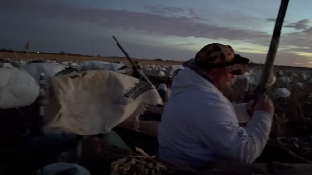 Snow Goose Hunt South Dakota 3-22