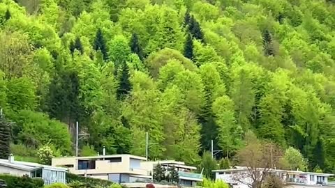 Healing Landscape