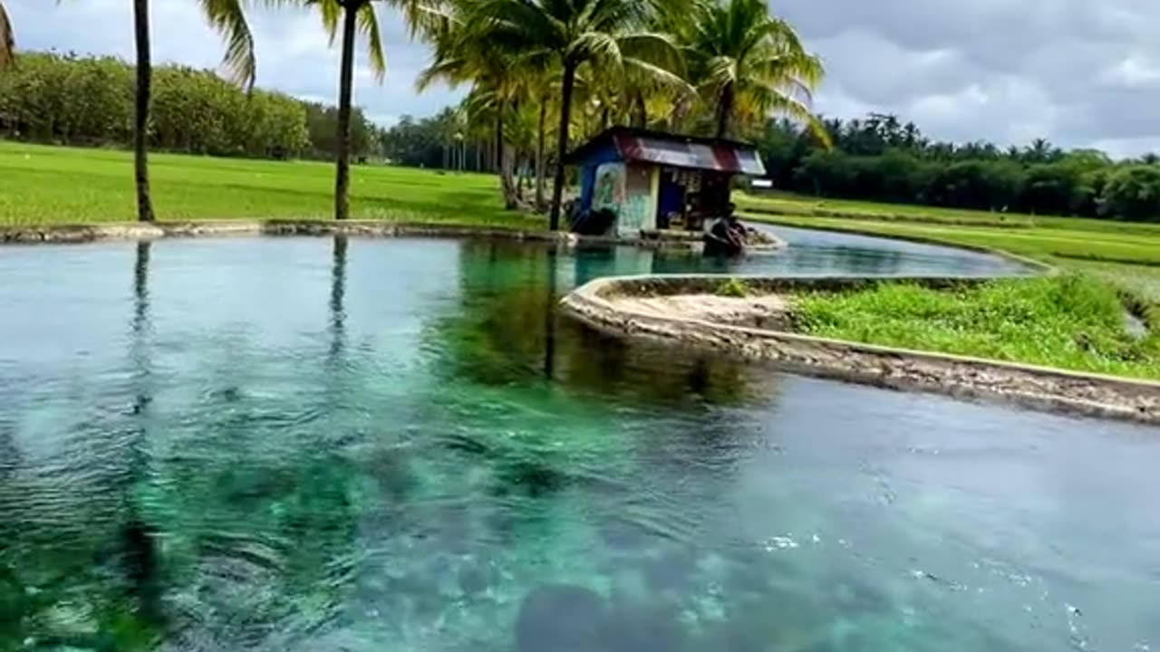 beautiful nature in the middle of coconut island