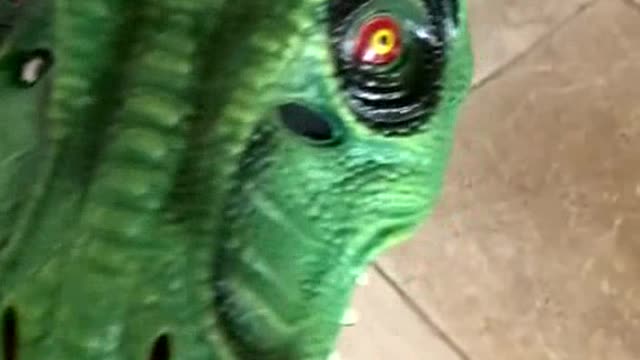 What a T-rex