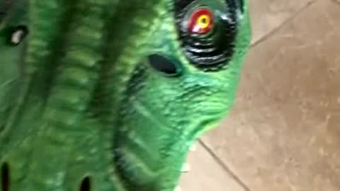 What a T-rex