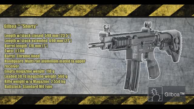 Gilboa Assault Rifle Zahal