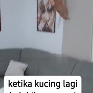 When The Orange Cat Powers Up