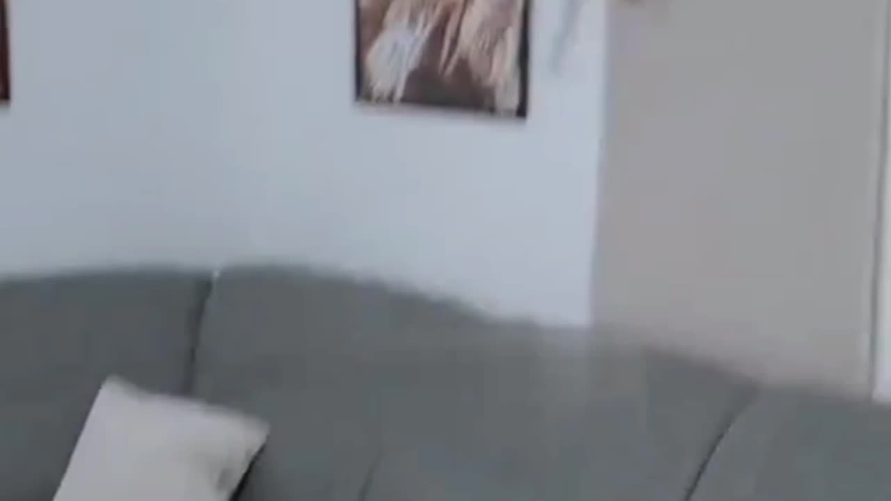 When The Orange Cat Powers Up