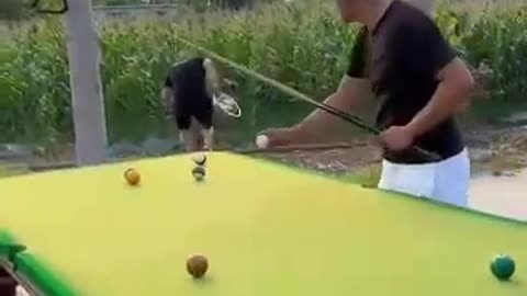 Funny video billiard