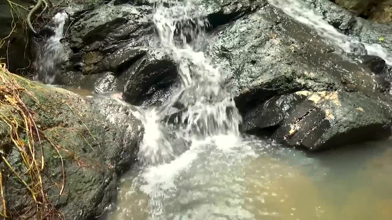 Music that soothes the weary mind🎵 Healing music for 3 hours, birdsong and harp play - Stress relief