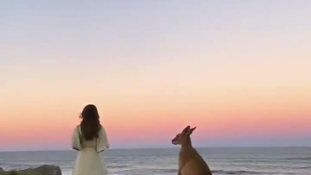 What is a kangaroo doing in front of this girl?