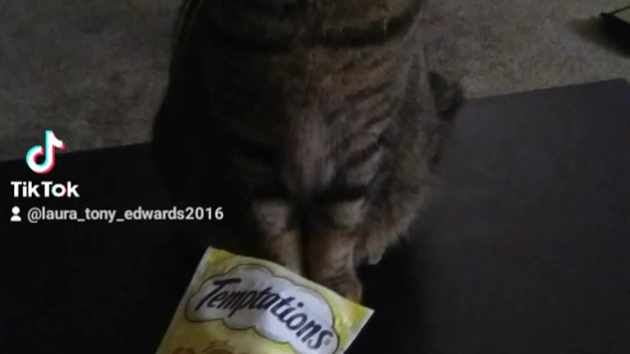 Uno playing her game