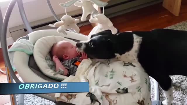 Dogs are the best friend of Babies 08