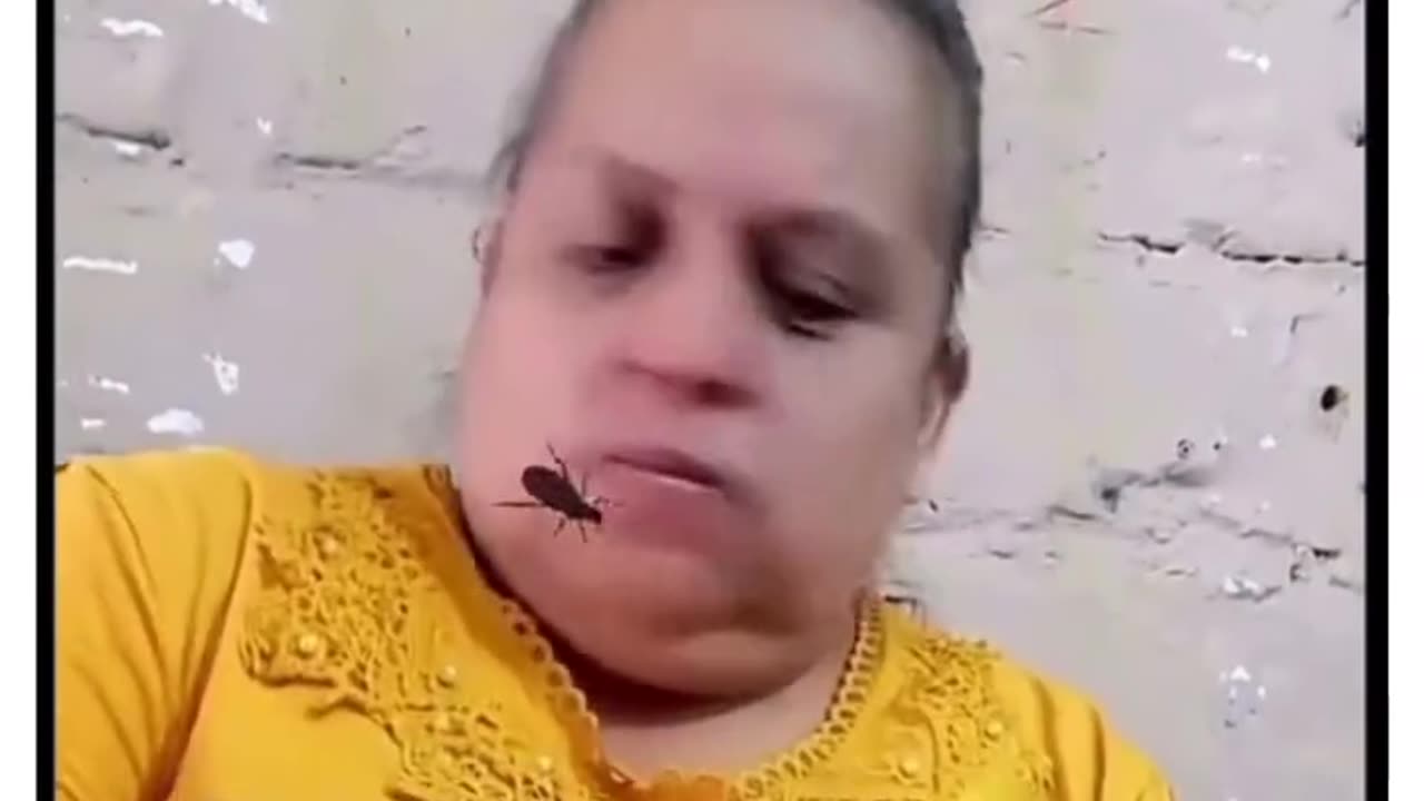 Funny Video 😂 #funny #viral