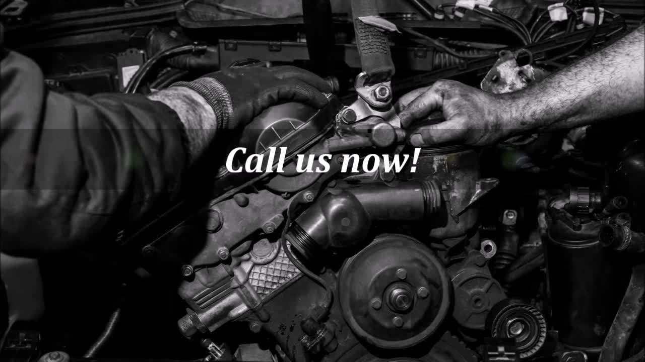 Bad Dog Diesel Services - (956) 426-6285