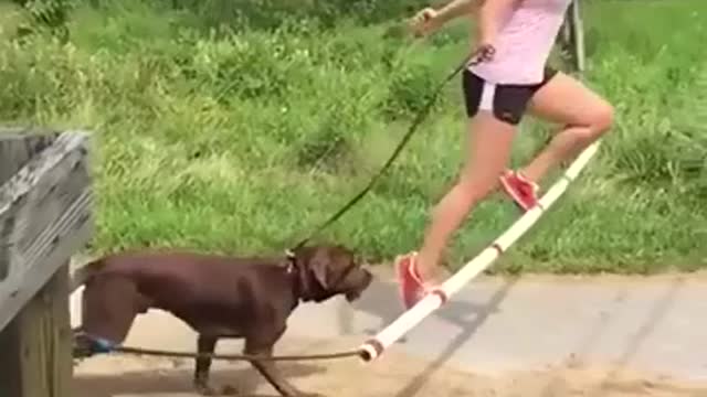 Funny dog video
