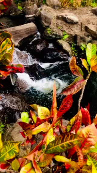 Waldorf Astoria Natural Kaos