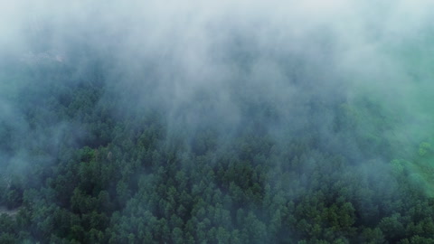 The camera flies over a beautiful green forest - drone shot