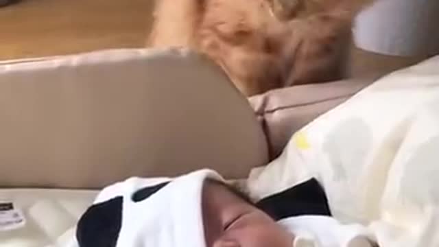 what a cute baby and cat