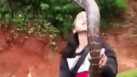Catch King Cobra